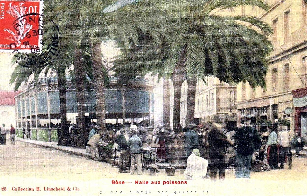 Bone - Halle aux poissons - 1908.jpg